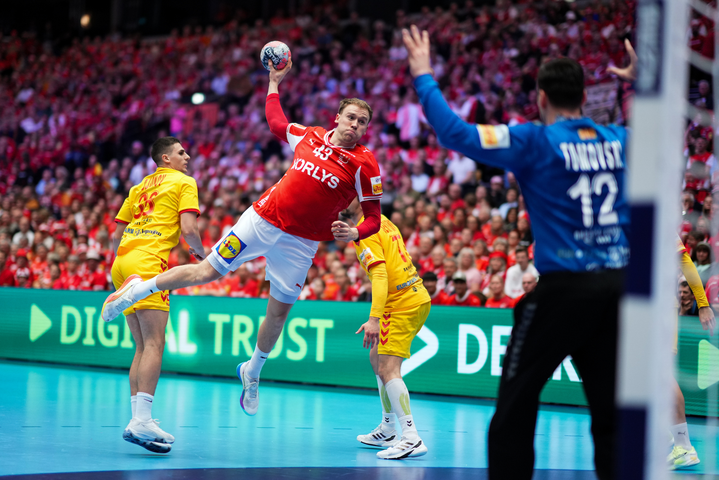 Denmark delight home fans with victory over Macedonians